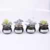 Home Decoration Simulation Succulent Plant Cement Bonsai, Fake Succulent Potted Plant, Mini Simulation Succulent Potted Plant
