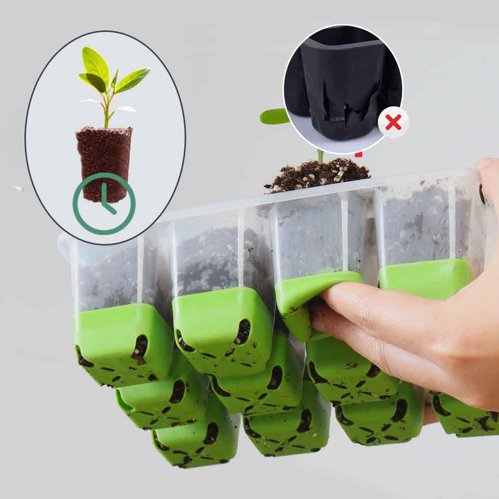 12-cell Seedling Starter Tray with Transparent Cover Adjustable Humidity Germination Box Indoor Garden Greenhouse Growth Potting