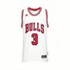 NBA Chicago Bulls Round Neck Fashion Simple Sports Sleeveless Basketball Jersey Men Jersey CC2543