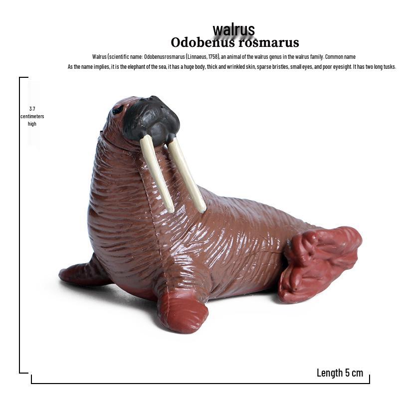 Children's Marine Animal Toy Set: Megalodon, Beluga, Octopus, Turtle, Dolphin & Manta Ray
