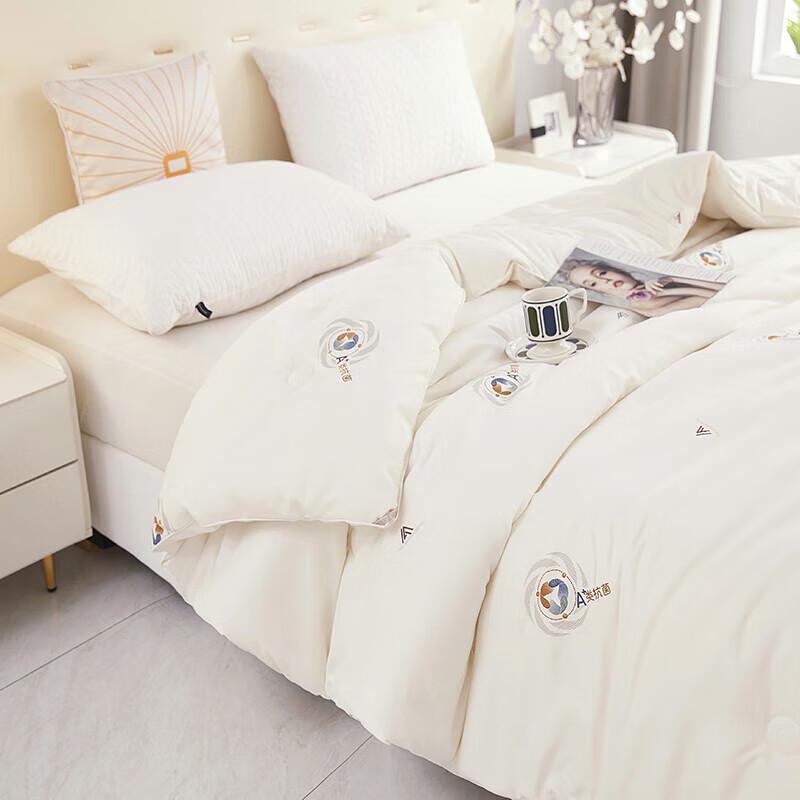 3A Antibacterial Warm Velvet Quilt