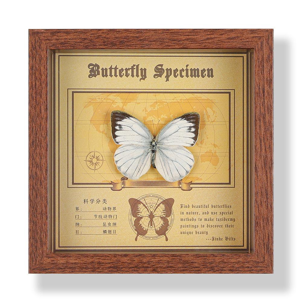 Real butterfly specimen photo frame, decorative painting, 3D ornament, handmade DIY, birthday gift, insect specimen