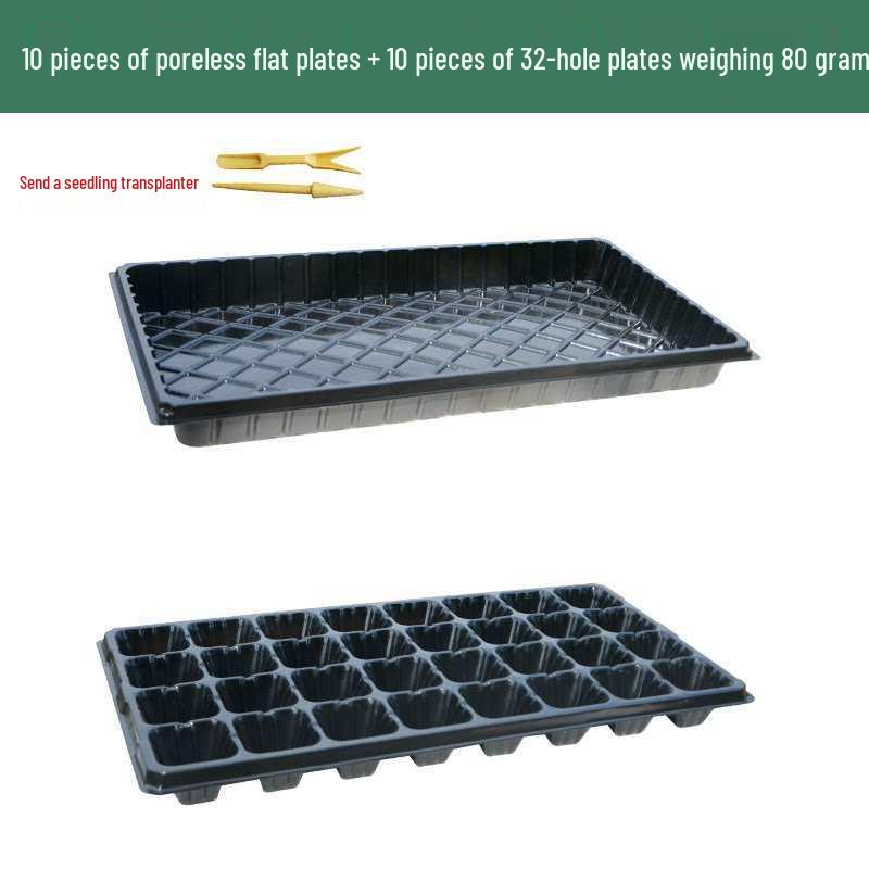 Thickened Plastic Succulent Seedling Tray for Cultivation & Cutting