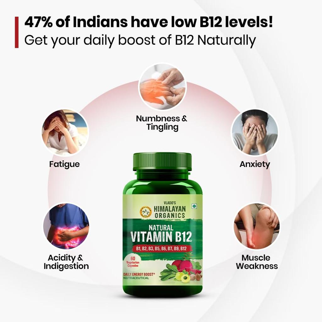 Vlado's Himalayan Organics Plant Based Vitamin B12 2.2mcg Capsules With B Complex & Moringa 60 Veg For Energy Support