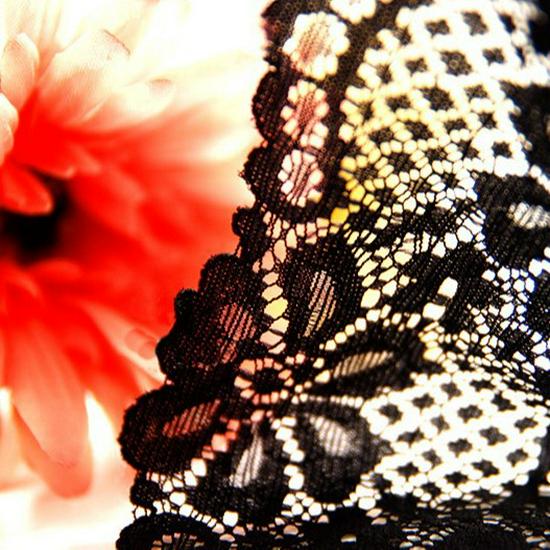 Tanga Feminina Sem Costura com Laço de Renda: Calcinhas Tentação de Cintura Baixa