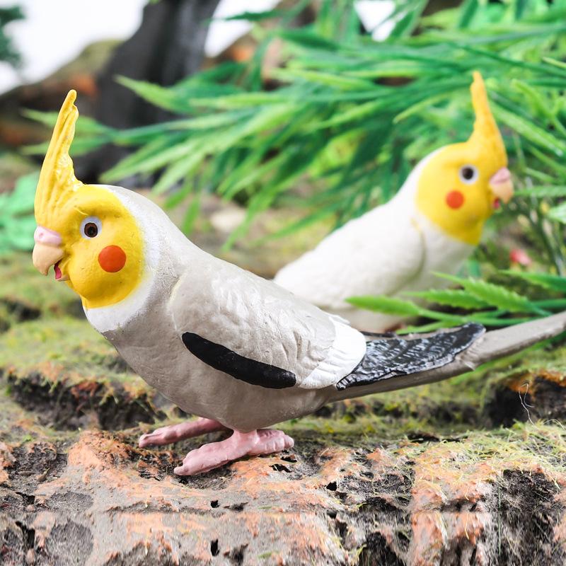 Oenux Bird Forest Animal Parrot Macaw Cockatiel Cockatoo Agapornis Puffin Model Solid PVC Garden Decoration Education Kids Toy