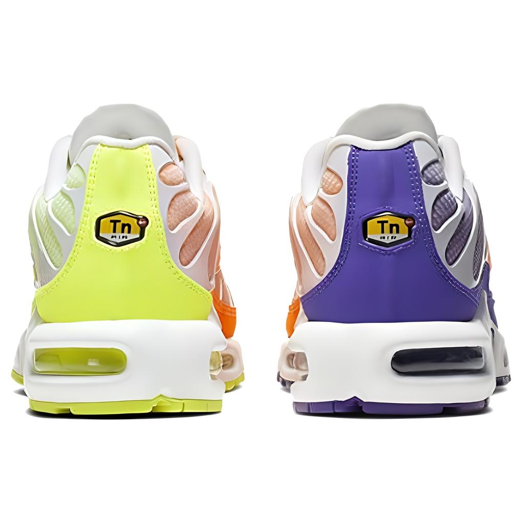 Nike Air Max Plus 'Color Flip' Herren CI5924-531