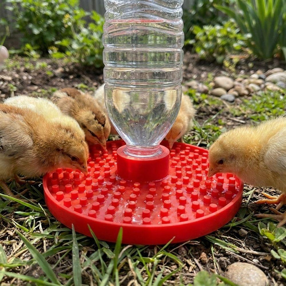 Plastic Anti-Drowning Water Feeder Multi-Hole Syrup Feeder for Bees Home Balcony
