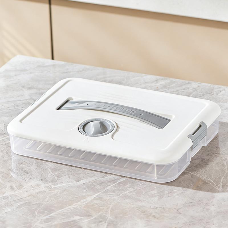 

Home Multi-Layer Dumpling Box, Frozen Dumpling Special Kitchen Refrigerator Storage Box, Fresh-Keeping Box With Timer Function