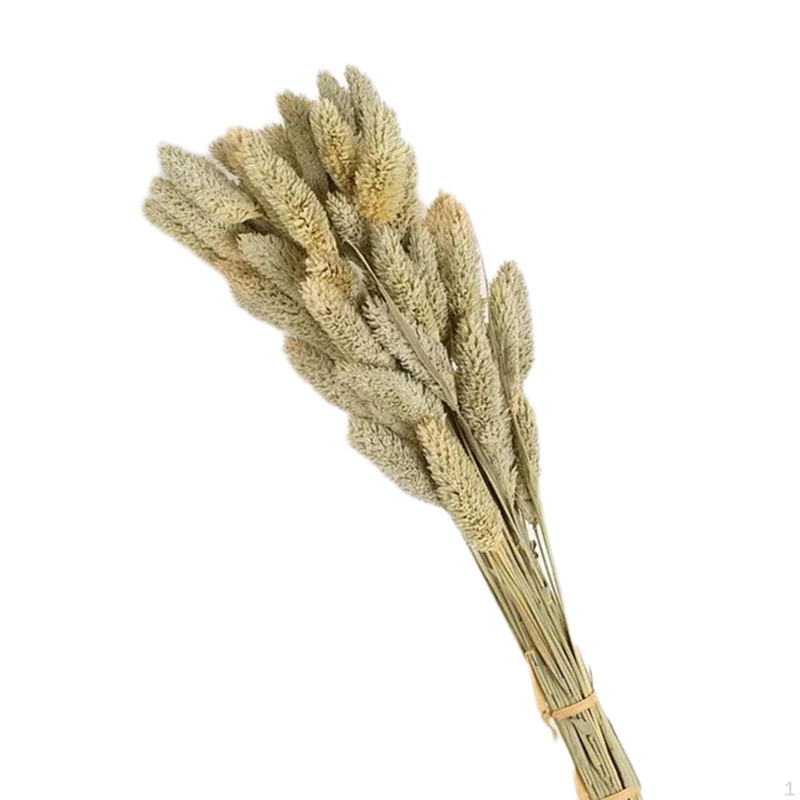 Букет из сушеных цветов — фото 10