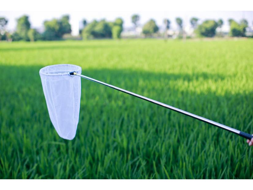 Compact Stainless Steel Telescopic Insect & Fish Net: Butterfly, Dragonfly, Tadpole, Shrimp Catching Gear