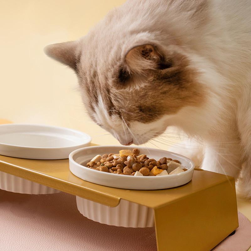 Cartoon Pet Dog Cat Bowl Ceramic Bowl Iron Frame Table Into A Kitten Skid Resistant Double Bowl Small Dog Food Feeder