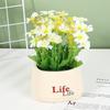 Artificial Potted Flowers No Wilting Needed Vibrant Multicolor Blooms Realistic Fake Plants for Home Office Desk Decor