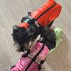 Winter Dog Clothes Warm Coat Outdoor Waterproof and Windproof Cold-proof and Warm/easy To Wear/reflective At Night for S/M Dogs