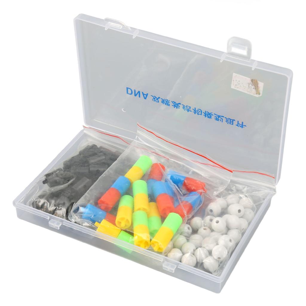 DNA Double Helix Structure Models Educational DNA Double Helix Modesl Kit Biological Science Popularization Teaching