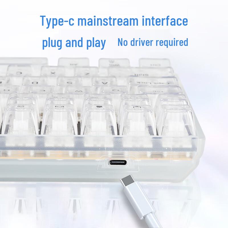 Y-FRUITFUL K10 100-Key Single Mode Wired RGB Mechanical Keyboard with Transparent Keycaps