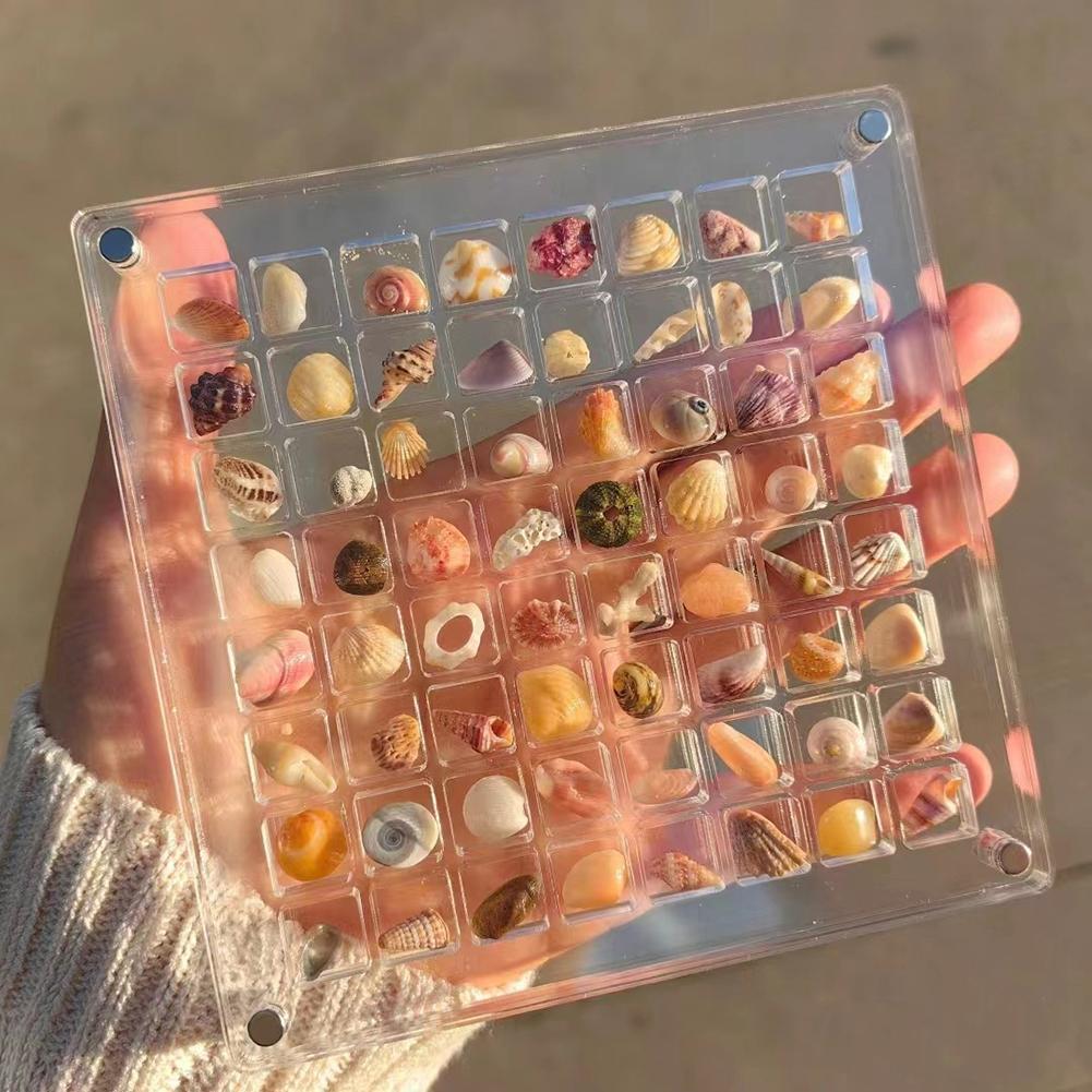 Acrylic Magnetic Seashell Display Box Seashell Display Box Diamond Storage Box Transparent Shell Storage Box Jewelry Storage