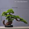 New Chinese Style Artificial Welcoming Pine Bonsai Artificial Tree Desk Decor for Living Room Entryway Hotel Home Office Gift
