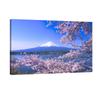 DaMYiHos Mount Fuji & Cherry Blossom Canvas Wall Art High Resolution Print Wooden Frame 30 X 40 Cm Ready To Hang