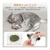 Jumping Bird Cat Toy Toy Bird Electric Flying Bird with Sound Flapping Wings Touch Activation USB Rechargeable Cat Toy Dog Toy Automatic Popular