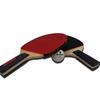Sports Partner Adult & Youth Beginner Table Tennis Racket