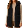 Women's Fall And Winter Temperament Double-Sided Coral Velvet Thickened And Padded Warm Plus Size Waistcoat Vests