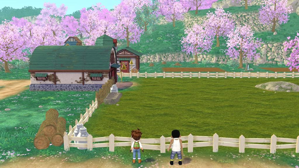 set Harvest Moon Wonderful Life download code be obtained or used due to expiration date [Goods included] Welcome! -Switch "Raincoat" Cannot