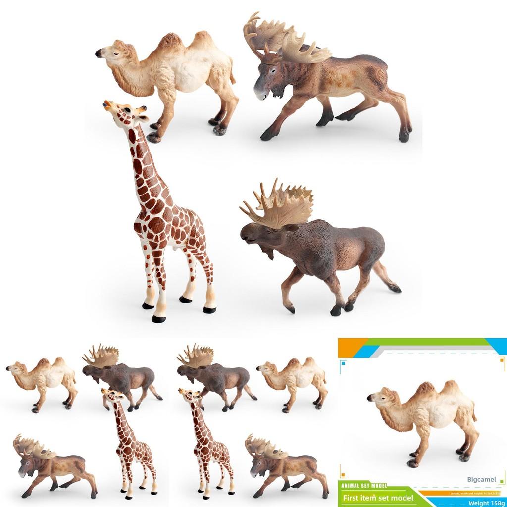 Wildlife Animal Model Set Pvc Camel Giraffe Educational Collectible For Kids Nature Learning
