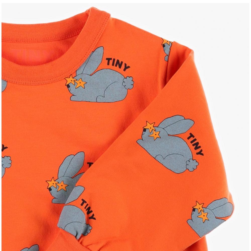 Tiny Cotton Aw24 059 J08  Rabbits Sweatshirt  Rabbit Kids Sweatshirt