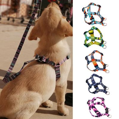 Bissfestes Hundewestengeschirr, weicher Brustgurt aus Polyester, schöne Hundeleine