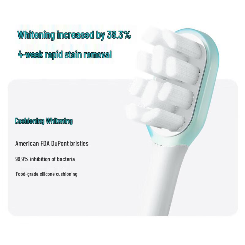 ROAMAN T10X-B Electric Toothbrush