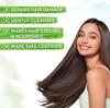 Mamaearth Hibiscus Damage Repair Shampoo For Dry & Frizzy Hair, With Curry Leaves, 250ml | Nourishes & Strengthens For Smoother, Shinier Hair