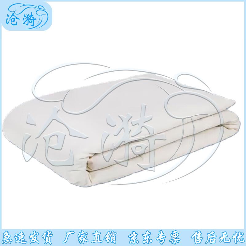 Cangyi White Warm Moisture-proof Mattress Quilt