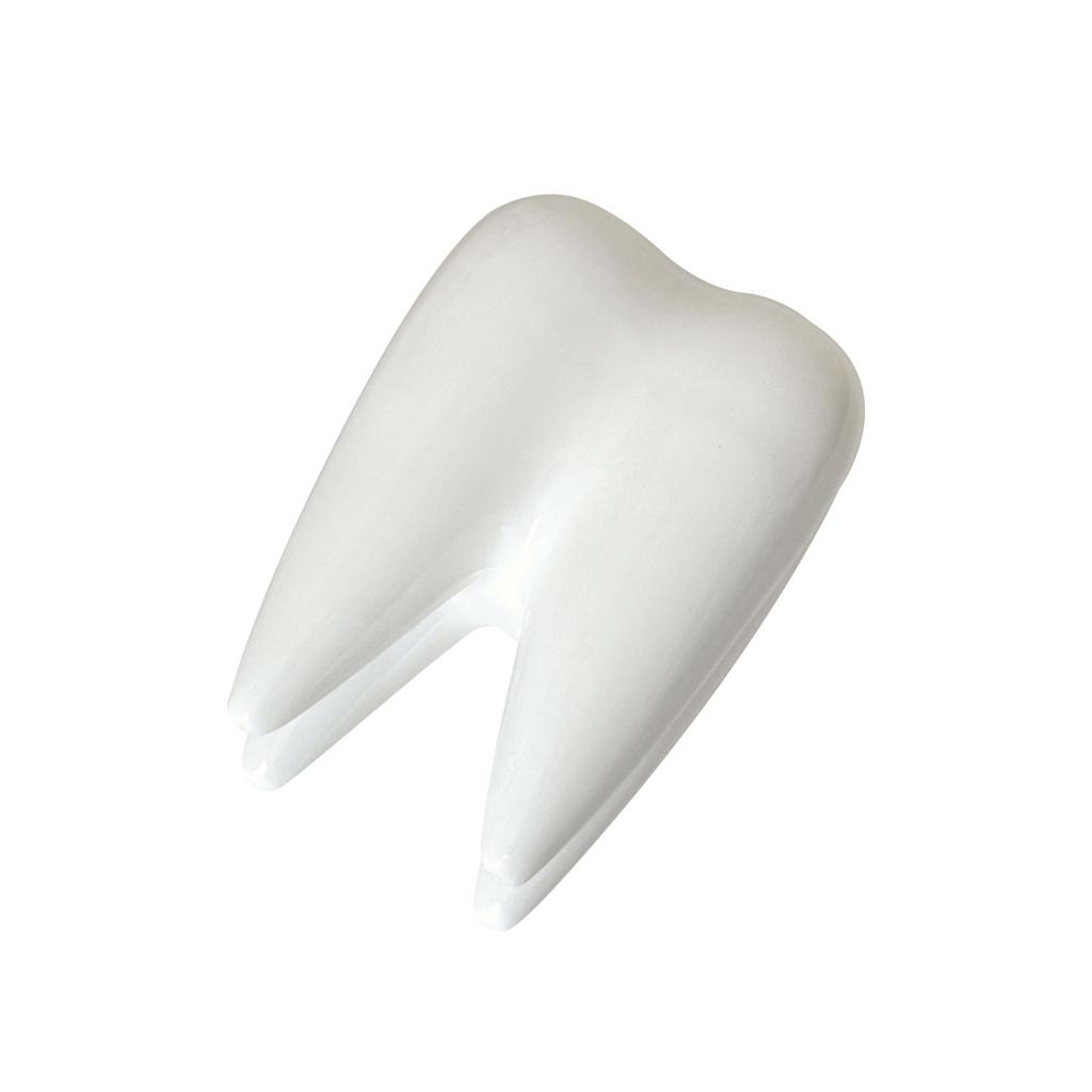 Керамічна Підставка для Ручок у Формі Зуба Веселий Органайзер для Столу для Дитини Дорослого Милий Тримач для Олівців Тримач для Канцелярського Приладдя Унікальний Контейнер