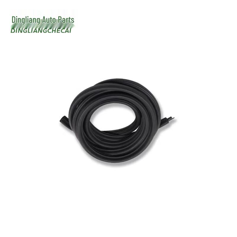 Dingliang Left Rear Door Seal Strip for Iveco NJ2046