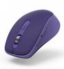 WM-450 Multi Device Mouse Blue