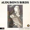 RED EMBER Audubon's Birds 2026 Wall Calendar 12 Month | 12" X 24" Open | Thick & Sturdy Paper | Holiday Gift | Bird Art Calendar 2026