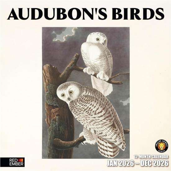 RED EMBER Audubon s Birds 2026 Wall Calendar 12 Month | 12 x 24 Open | Thick & Sturdy Paper | Holiday Gift | Bird Art Calendar 2026
