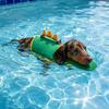 Schwimmweste für kleine und mittlere Hunde, Niedliche Haustier-Pool-Schwimmhilfe zum Schwimmen
