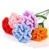 300/500pcs Pipe Cleaners Craft Stems Indoor Decor Handicraft DIY Chenille Stem Flower for Mother's Day Festival Birthday XJM