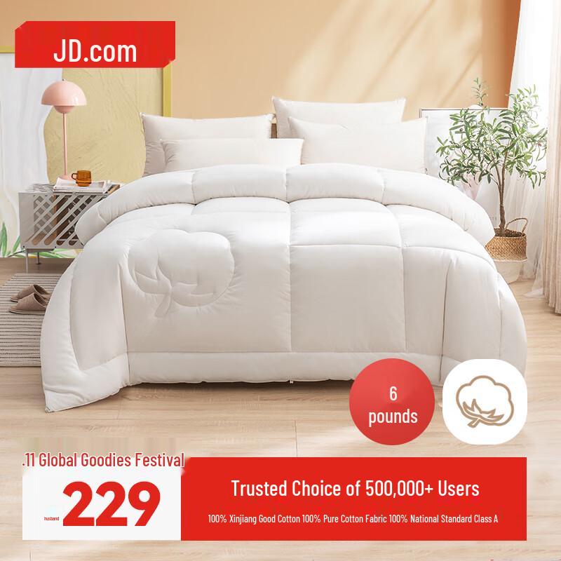 Xinjiang 100% Natural Cotton Winter Quilt