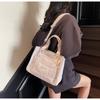 Canvas Small Tote Bag For Women With Zipper Closure And Pouch For Daily Use