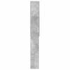 Bathroom Cabinet ARNHEM Concrete Grey 66 x 25.5 x 190 cm