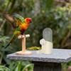 Boquilla de Pin de Acero Inoxidable Bebedero para Pájaros Botella de Agua con Boca de Cobre Extendida para Jaula de Loro Myna