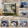 CUTE AAlaskan Malamutes Cushion Cover Pillowcase Antidustmite living Room Sofa Decor Cushion Room
