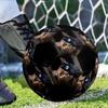 Cat Portrait Customizable photos Size 5 Soccer football Machine Sewn Indoor/Outdoor Training and Matches Customize Exclusive Personalized Name