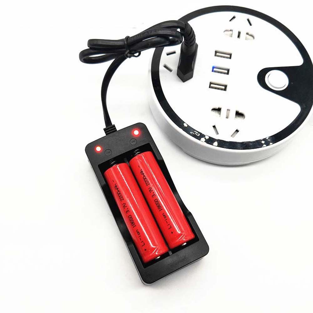 Intelligent Charge Charger Adapter Battery Charger Auto Stop Charger Lithium Battery Charger