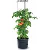 Pot Pour Pied De Tomates - IPOM - Tomato Grower - 28L - Cylindrique - Noir