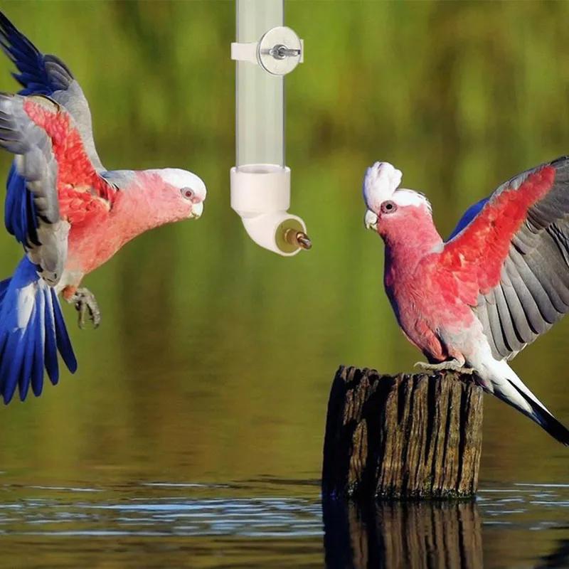 Fixierbarer Vogel Hamster Wassertrinker Futterspender Haustier Vogelzubehör Spenderflasche Trinkbecher Schüsseln für Haustier Papageienkäfig Spielzeug