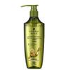 Schwarzkopf Ginger Essence Oil Control Shampoo